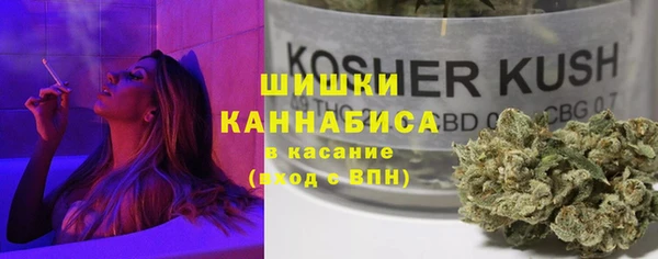 шишки Алзамай