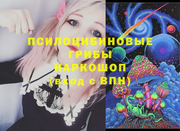 хмурый Алексеевка