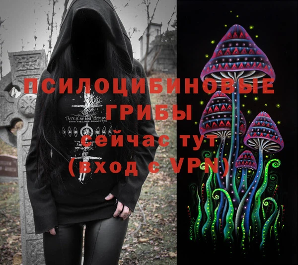 шишки Алзамай