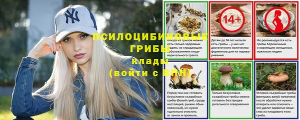 винт Алексин
