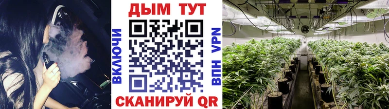Бошки марихуана ГИДРОПОН  Покров 